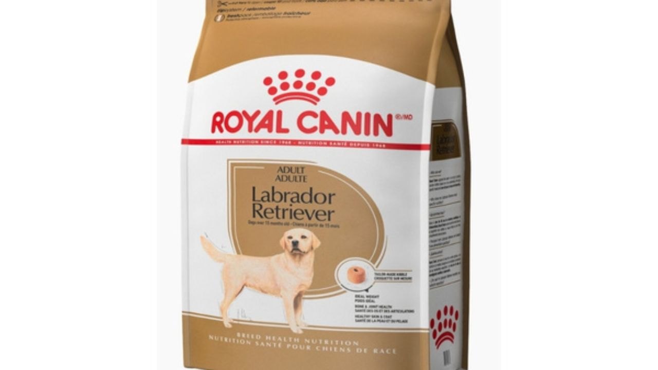 Discover How to Get Royal Canin Pet Food Samples