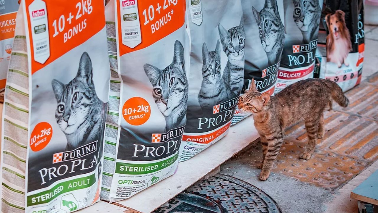 Learn How to Request a Free Purina Pet Food Sample