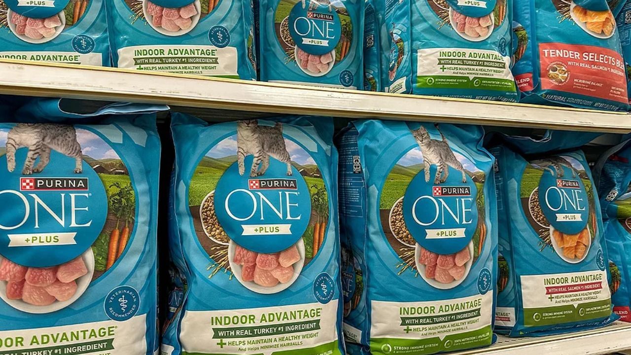 Learn How to Request a Free Purina Pet Food Sample