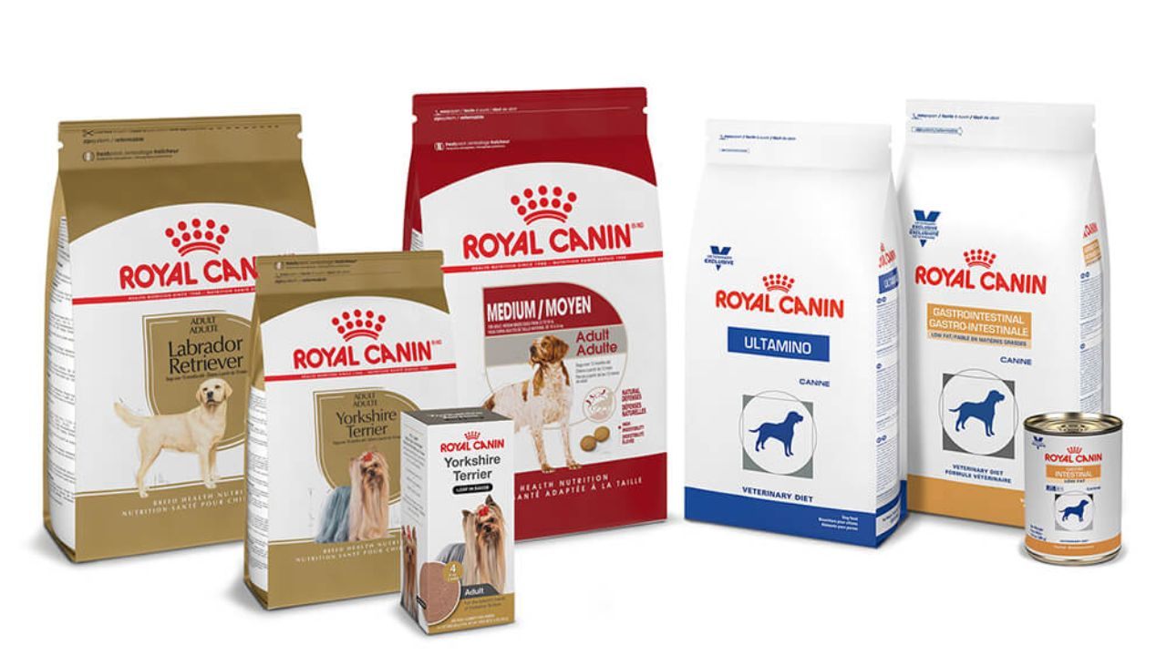 Discover How to Get Royal Canin Pet Food Samples